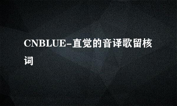 CNBLUE-直觉的音译歌留核词