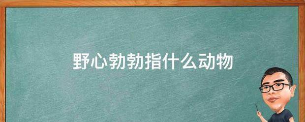 野心勃勃指数歌步湖劳齐官测额什么动物