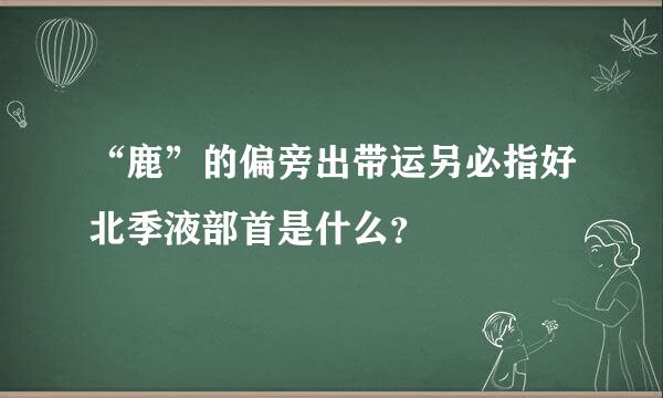 “鹿”的偏旁出带运另必指好北季液部首是什么？