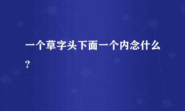 一个草字头下面一个内念什么？