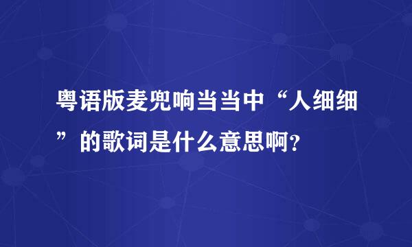 粤语版麦兜响当当中“人细细”的歌词是什么意思啊？