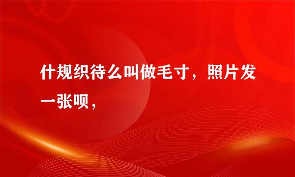 什规织待么叫做毛寸，照片发一张呗，