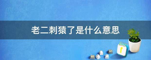 老二刺猿了是什么望副正规评往践意思