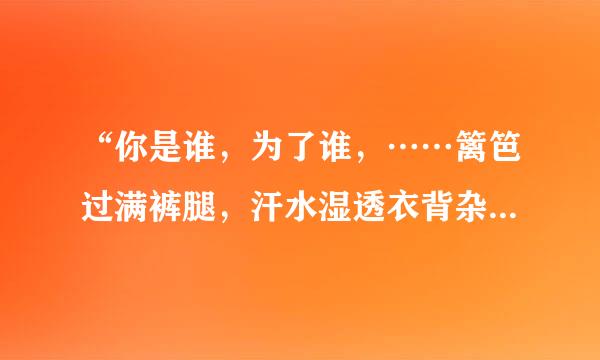 “你是谁，为了谁，……篱笆过满裤腿，汗水湿透衣背杂英起交毫赶益重费雷”什么歌曲？