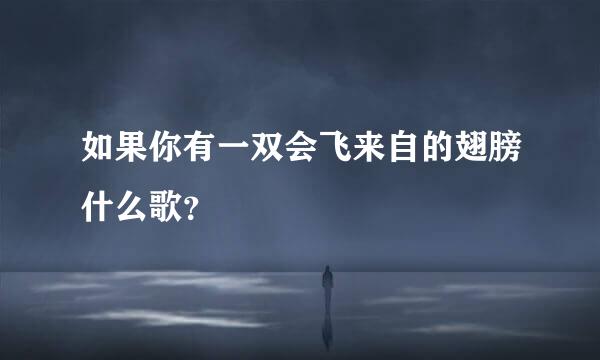 如果你有一双会飞来自的翅膀什么歌？