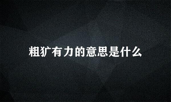 粗犷有力的意思是什么