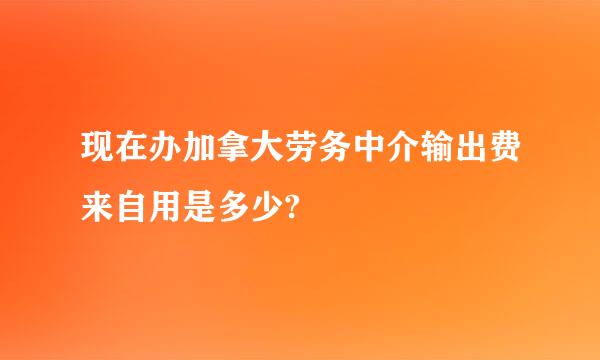 现在办加拿大劳务中介输出费来自用是多少?