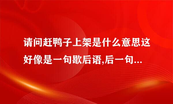 请问赶鸭子上架是什么意思这好像是一句歇后语,后一句是什来自么?