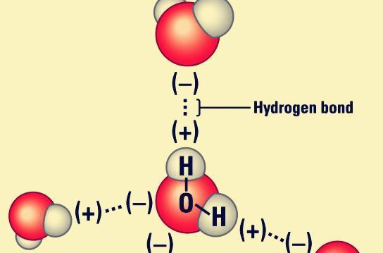 什来自么是氢键作用力？