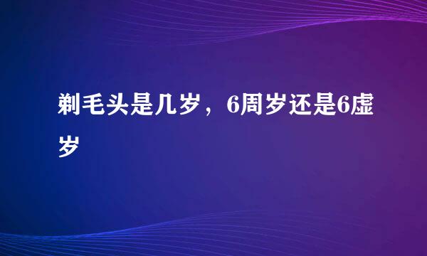 剃毛头是几岁，6周岁还是6虚岁