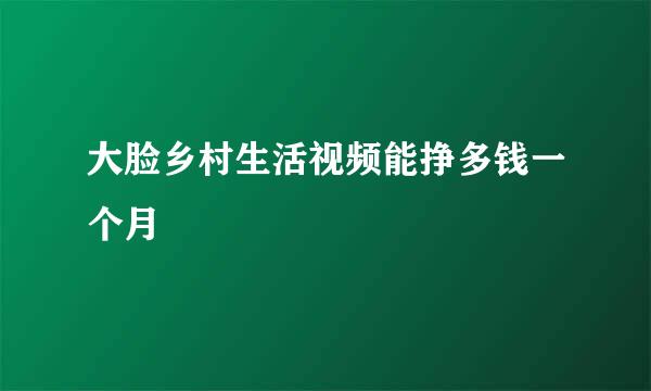 大脸乡村生活视频能挣多钱一个月