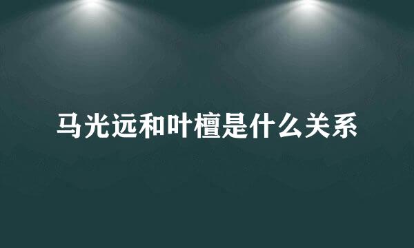 马光远和叶檀是什么关系