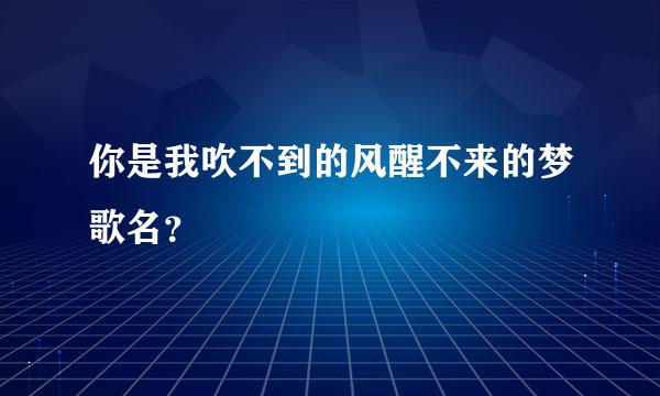 你是我吹不到的风醒不来的梦歌名？