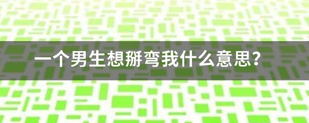 一成个男生想掰弯我什么意思？