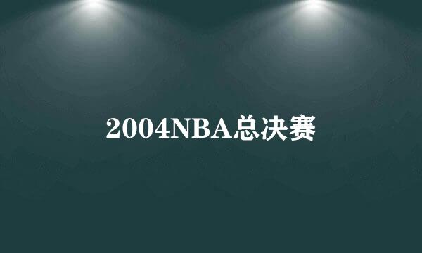 2004NBA总决赛