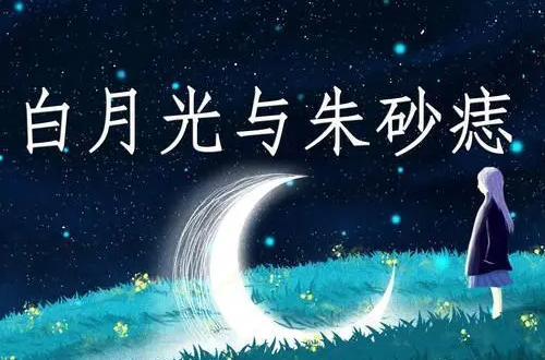 《白月光与朱砂痣》歌词