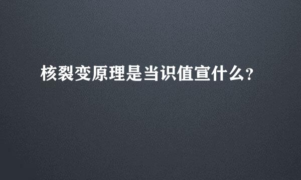 核裂变原理是当识值宣什么？