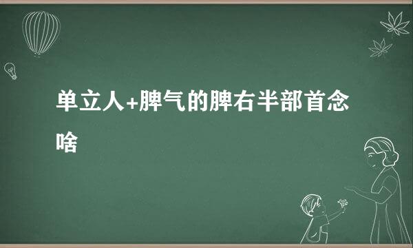 单立人+脾气的脾右半部首念啥