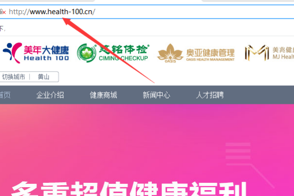 美年大健康来自怎么查报告呢？