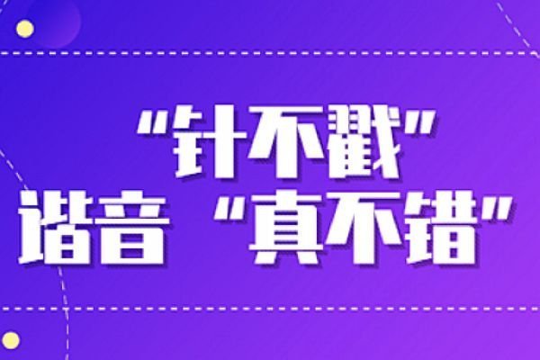 针不戳是什么意思梗 住在山里面真不错是谁说的