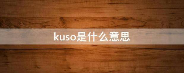 kuso是什么意思