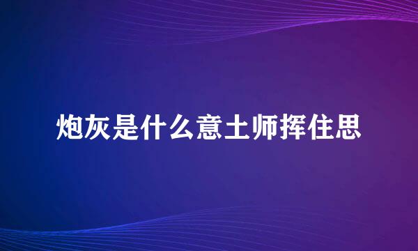 炮灰是什么意土师挥住思