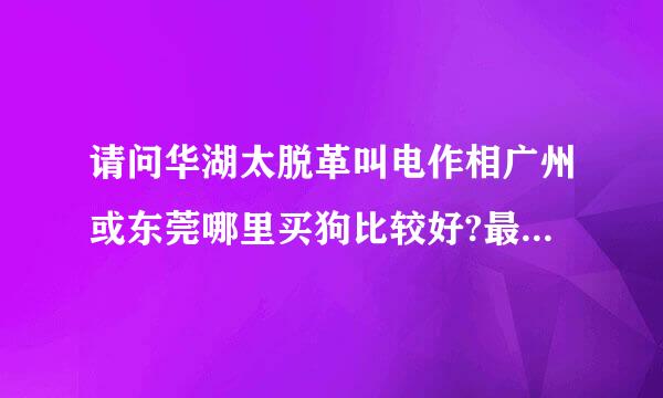 请问华湖太脱革叫电作相广州或东莞哪里买狗比较好?最好是正规的狗场，有保障的，最重要的是健康，不要星期狗。