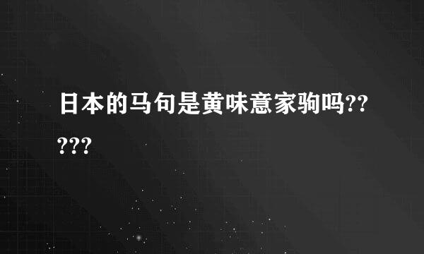 日本的马句是黄味意家驹吗?????