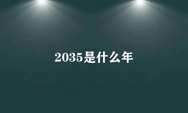 2035是什么年