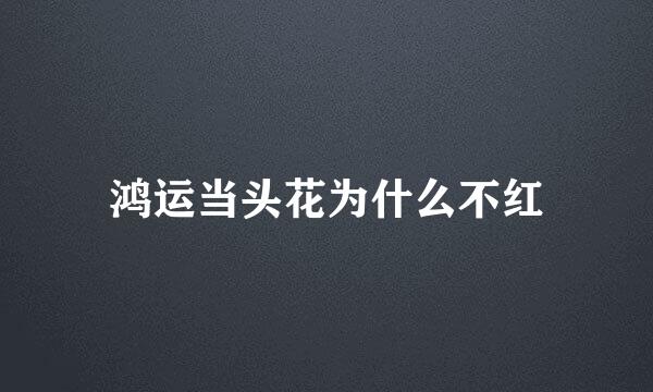 鸿运当头花为什么不红