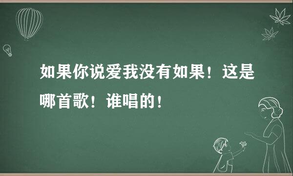 如果你说爱我没有如果！这是哪首歌！谁唱的！