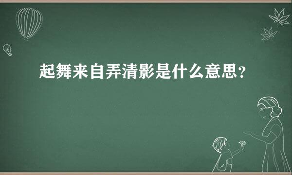 起舞来自弄清影是什么意思？