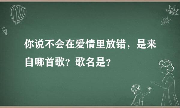 你说不会在爱情里放错，是来自哪首歌？歌名是？