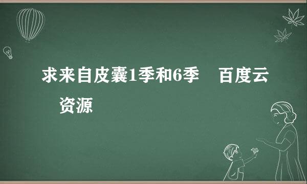 求来自皮囊1季和6季 百度云 资源