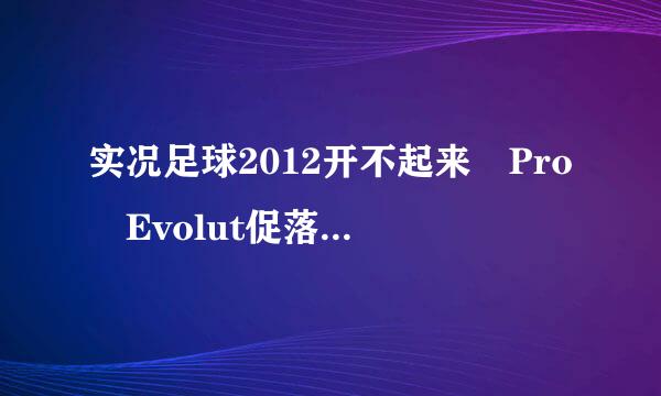 实况足球2012开不起来 Pro Evolut促落独ion Soccer 2012 has not been installed 为什么注册表也是应用程序错误