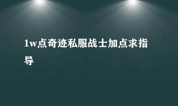 1w点奇迹私服战士加点求指导