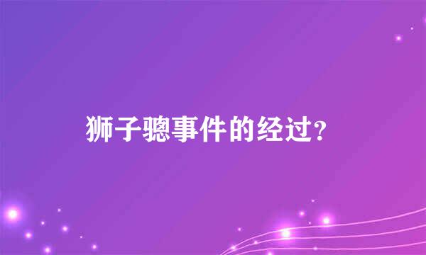 狮子骢事件的经过？