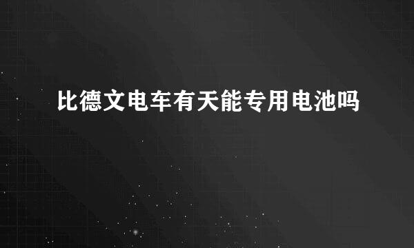 比德文电车有天能专用电池吗