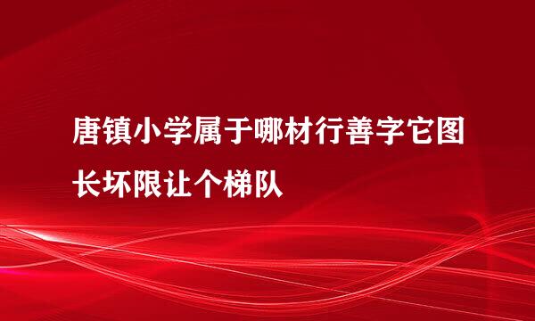 唐镇小学属于哪材行善字它图长坏限让个梯队