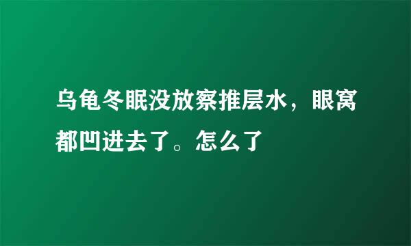 乌龟冬眠没放察推层水，眼窝都凹进去了。怎么了