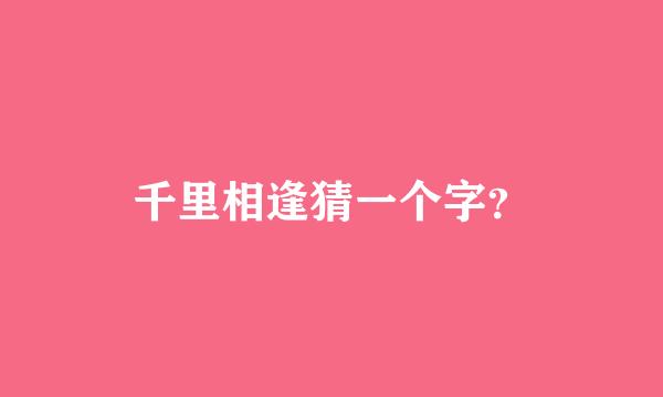 千里相逢猜一个字？