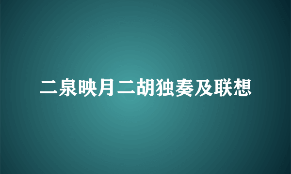 二泉映月二胡独奏及联想