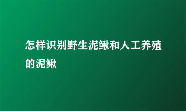 怎样识别野生泥鳅和人工养殖的泥鳅