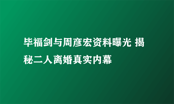 毕福剑与周彦宏资料曝光 揭秘二人离婚真实内幕