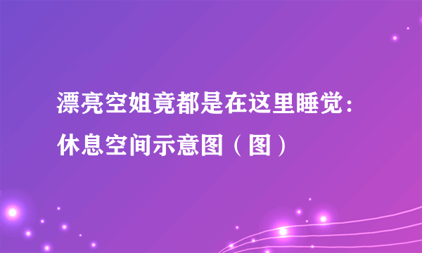 漂亮空姐竟都是在这里睡觉：休息空间示意图（图）