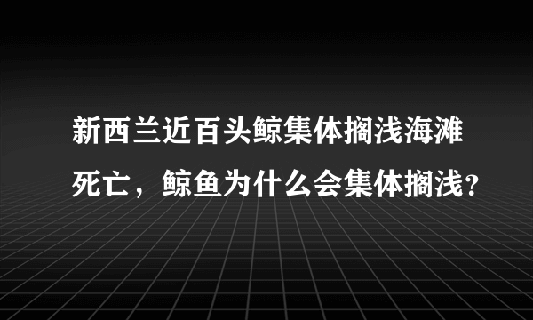 新西兰近百头鲸集体搁浅海滩死亡，鲸鱼为什么会集体搁浅？