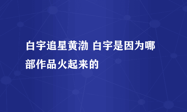 白宇追星黄渤 白宇是因为哪部作品火起来的