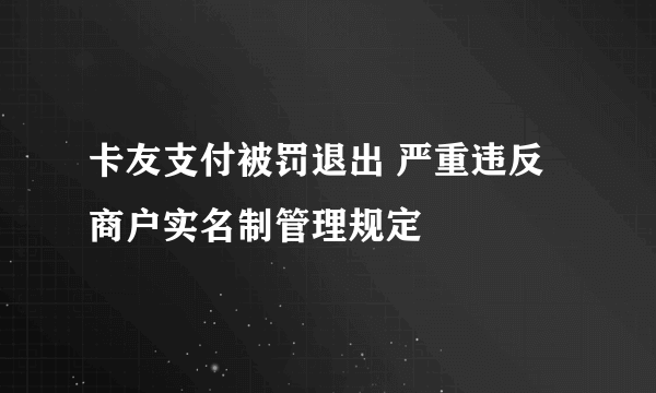 卡友支付被罚退出 严重违反商户实名制管理规定