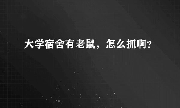 大学宿舍有老鼠，怎么抓啊？