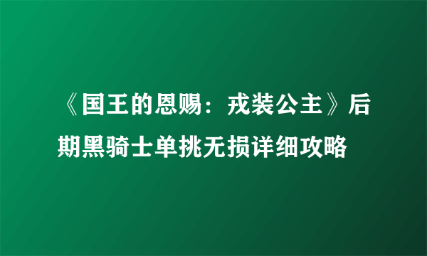 《国王的恩赐：戎装公主》后期黑骑士单挑无损详细攻略